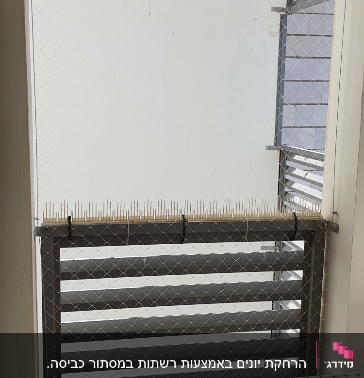 רשת ומחטים למניעת כניסת יונים בחלון